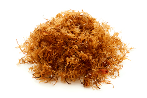 carrageen moss primemybody