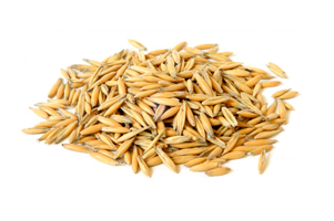 oat kernels